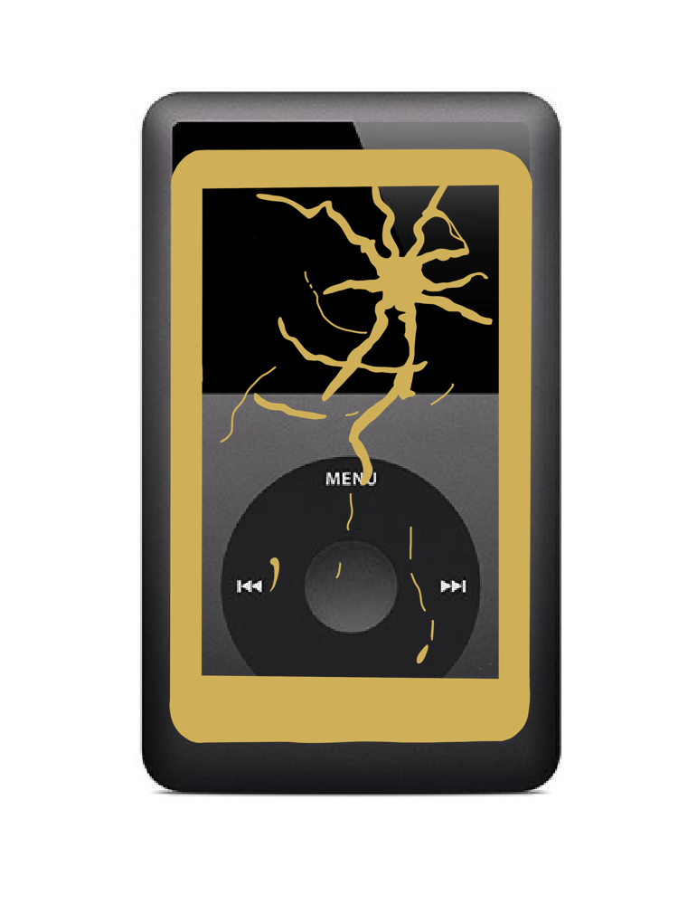 iPod Classic LCD Replacement