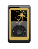 iPod Classic LCD Replacement