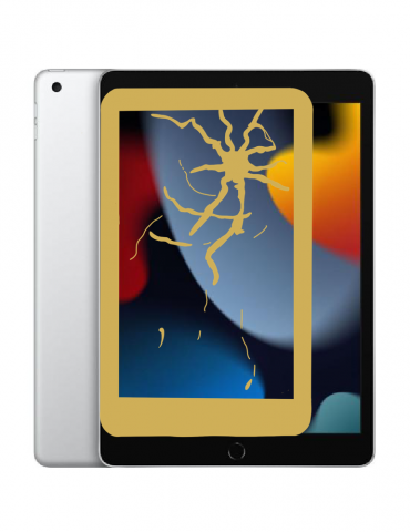 iPad Mini 5 Screen Replacement