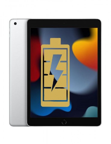 iPad Pro 11" 3rd Generation Battery Replacement