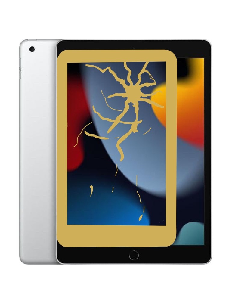 iPad Pro 11" 4th Generation Screen Replacement