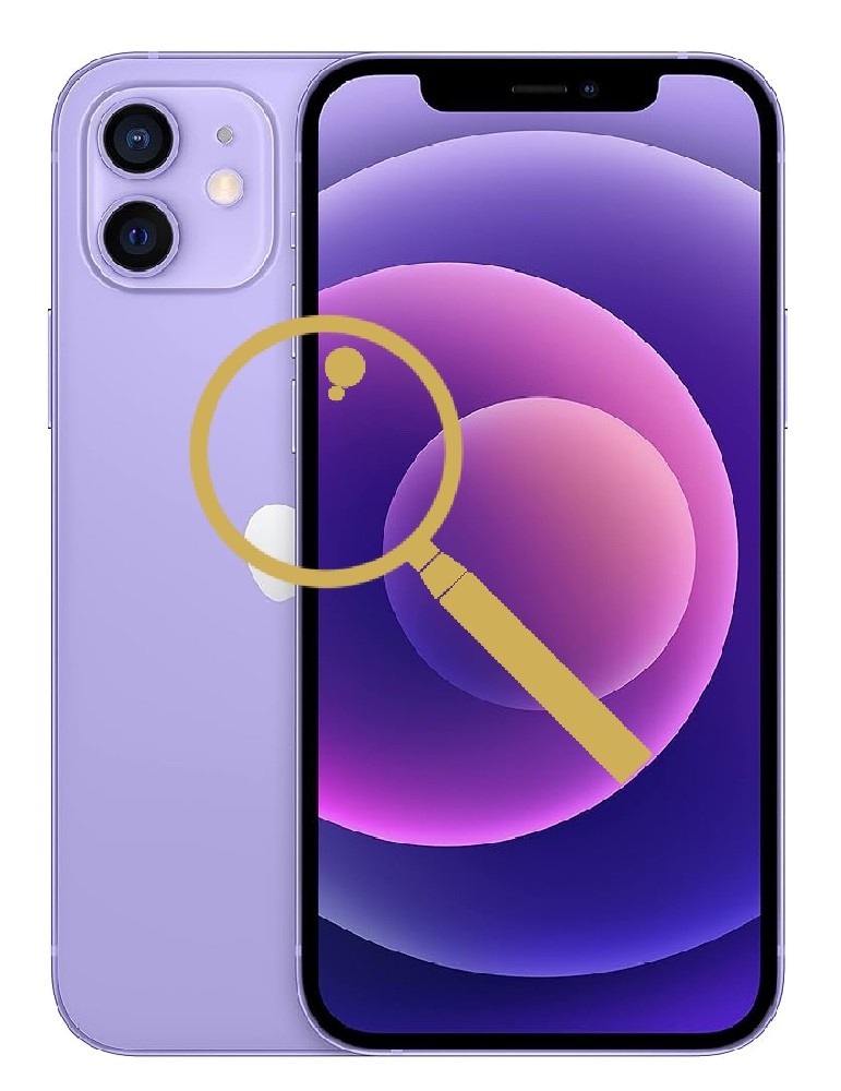 iPhone 12 Inspection