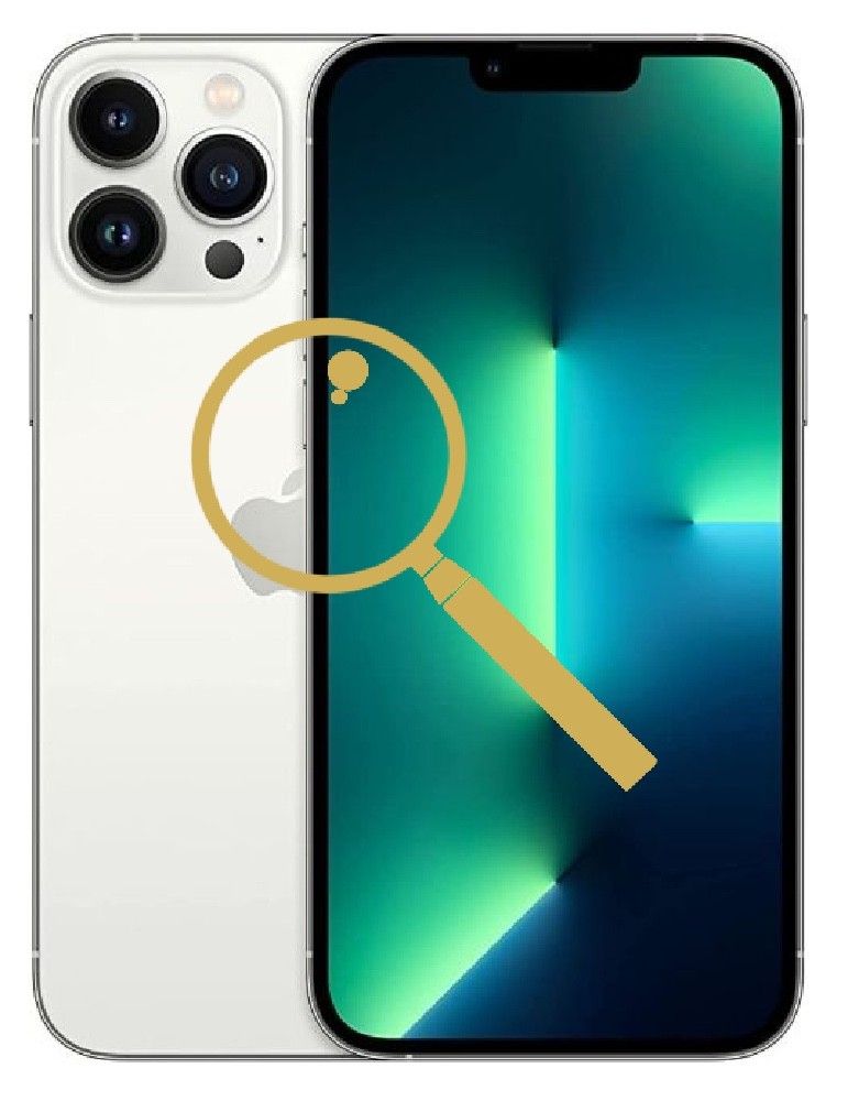 iPhone 13 Pro Max Inspection