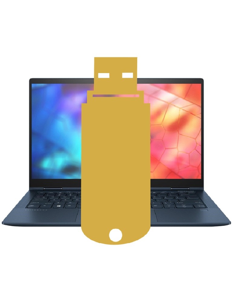 Laptop Software Repair