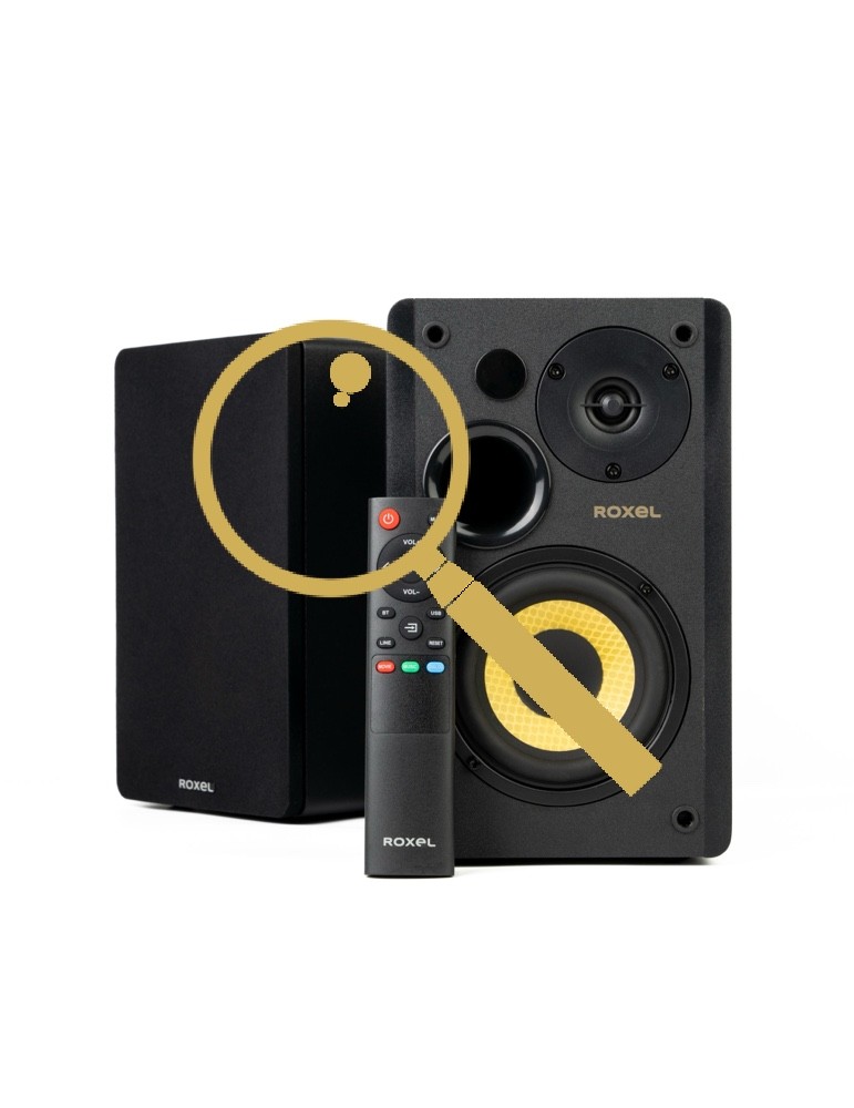 Home Speaker Inspection