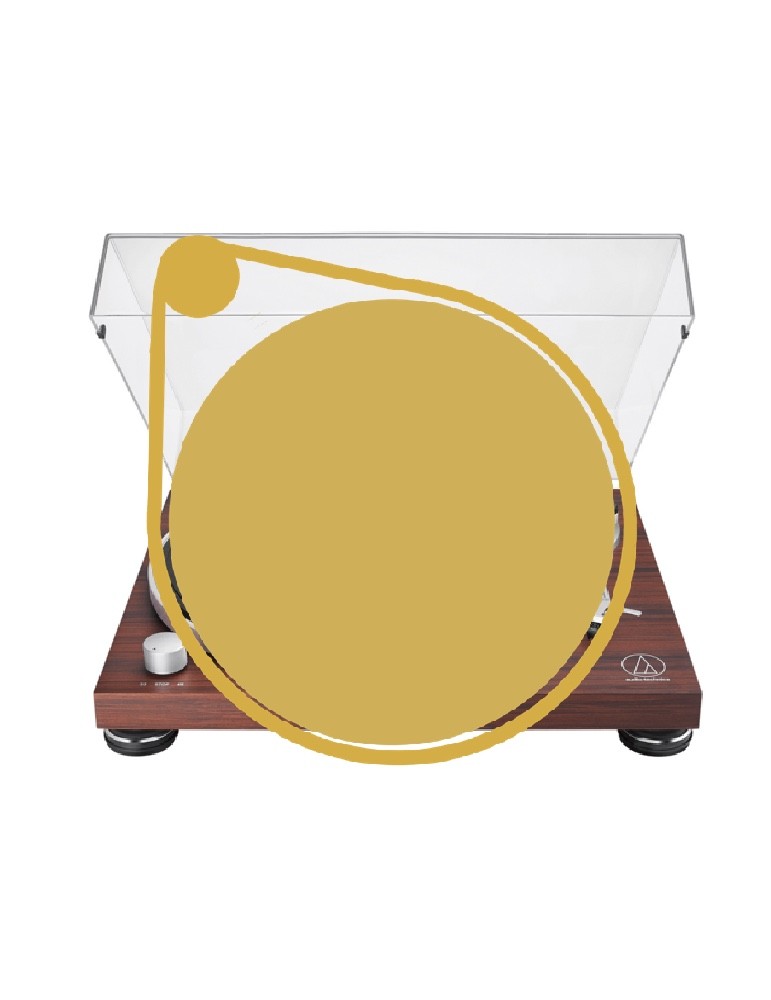 Home Turntable Belt Repair