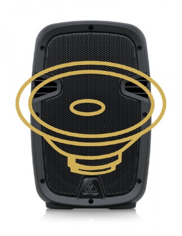 Passive Speaker Driver Replacement