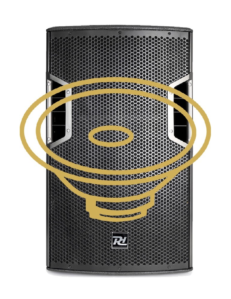 Powered Active Speaker Driver Replacement