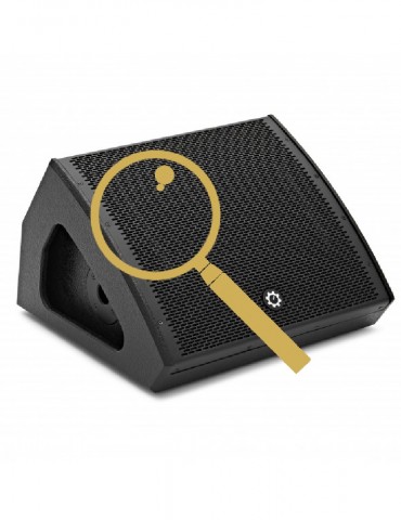 DJ Monitor Speaker Inspection