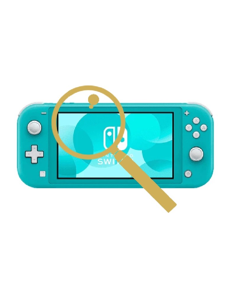Nintendo Switch Lite Inspection