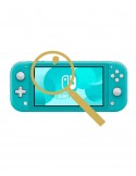 Nintendo Switch Lite Inspection